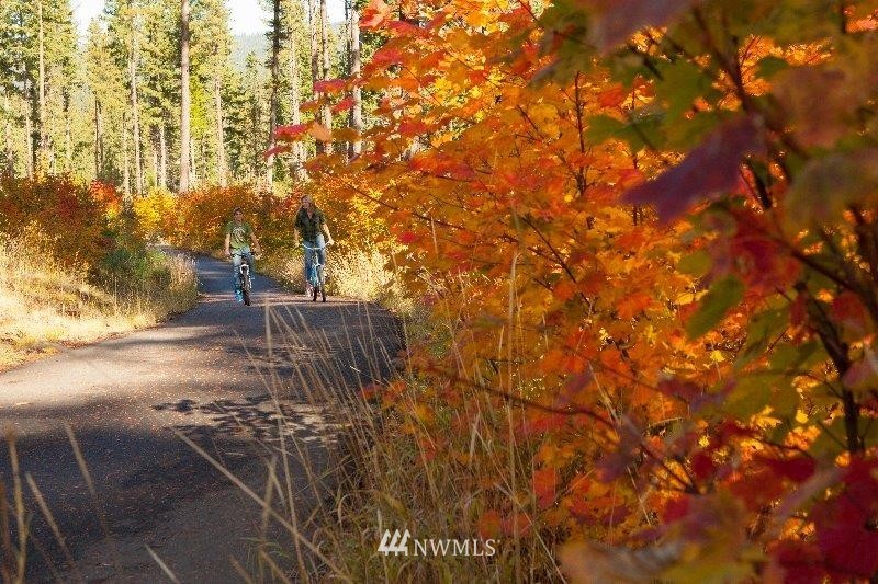 931 Maple Leaf Loop Cle Elum, WA 98922 - Photo 11 of 15