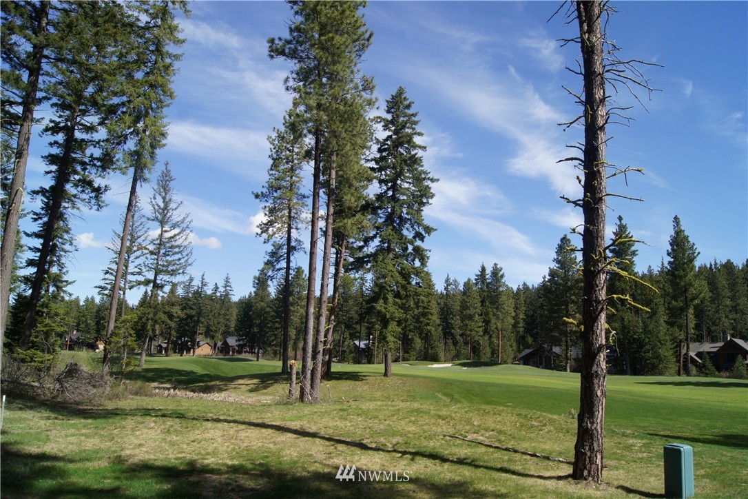 931 Maple Leaf Loop Cle Elum, WA 98922 - Photo 3 of 15