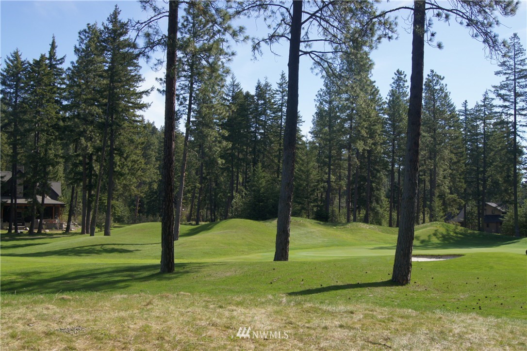 931 Maple Leaf Loop Cle Elum, WA 98922 - Photo 5 of 15