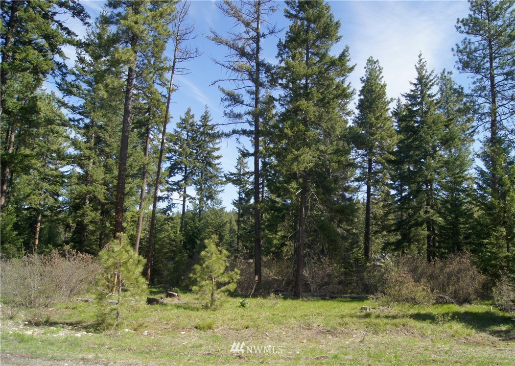 931 Maple Leaf Loop Cle Elum, WA 98922 - Photo 6 of 15