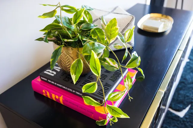 $2,495 | 303 31st Avenue North, Unit 506, Nashville, TN 37203