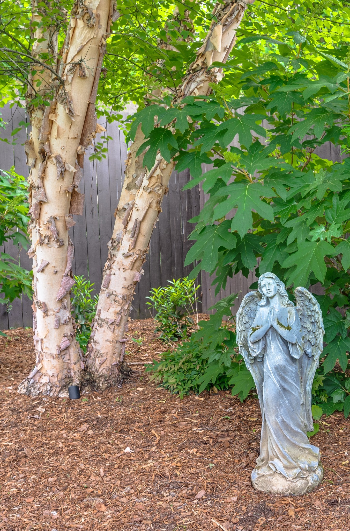 3635 Valley Vista Road Nashville, TN 37205 - Photo 73 of 77 Gallery Image 73