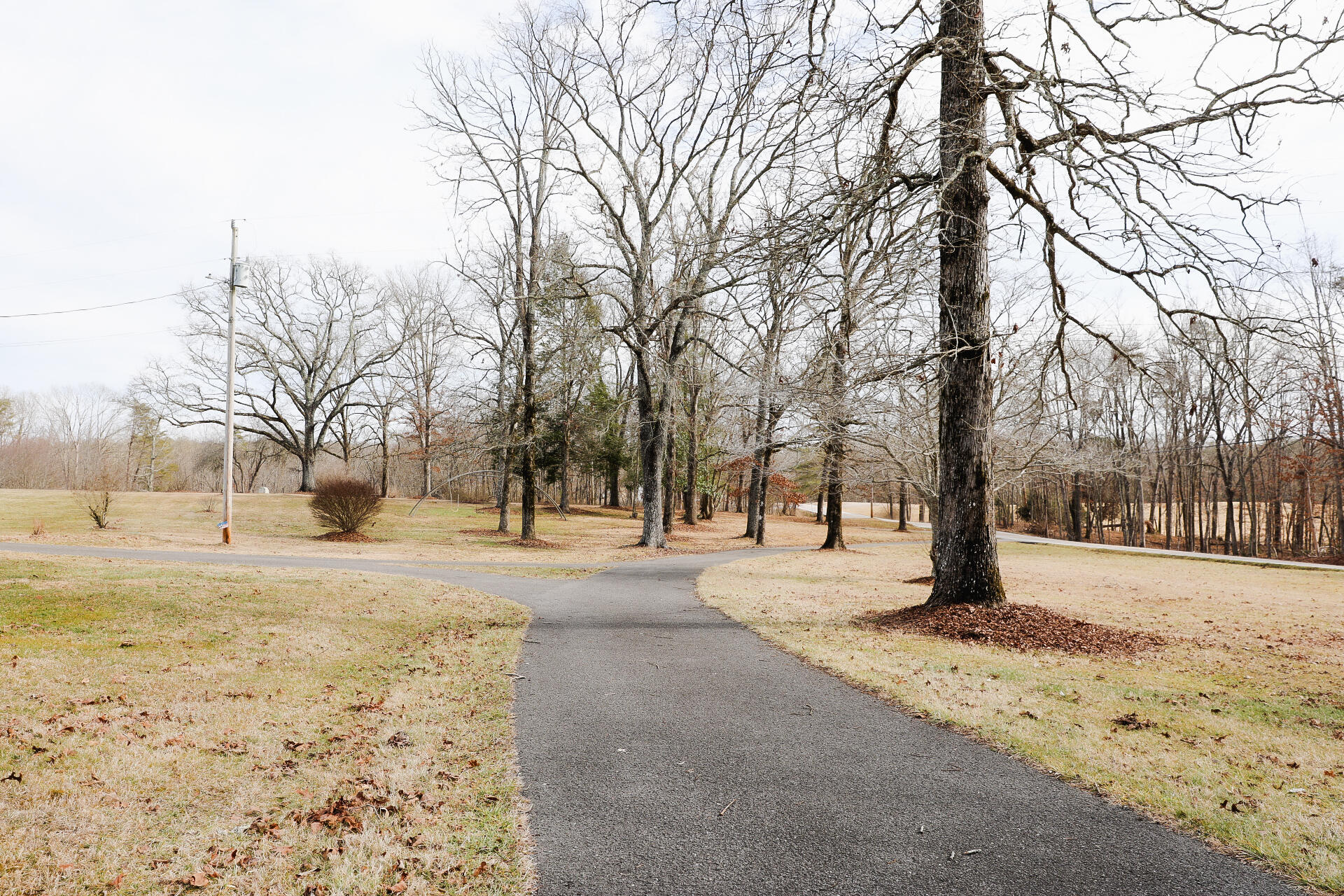 7055 Mooneyham Lonewood Road Spencer, TN 38585 - Photo 11 of 47 1A0A7207