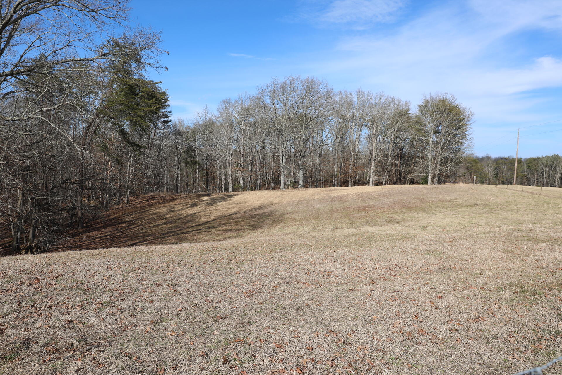 7055 Mooneyham Lonewood Road Spencer, TN 38585 - Photo 12 of 47 1A0A7210