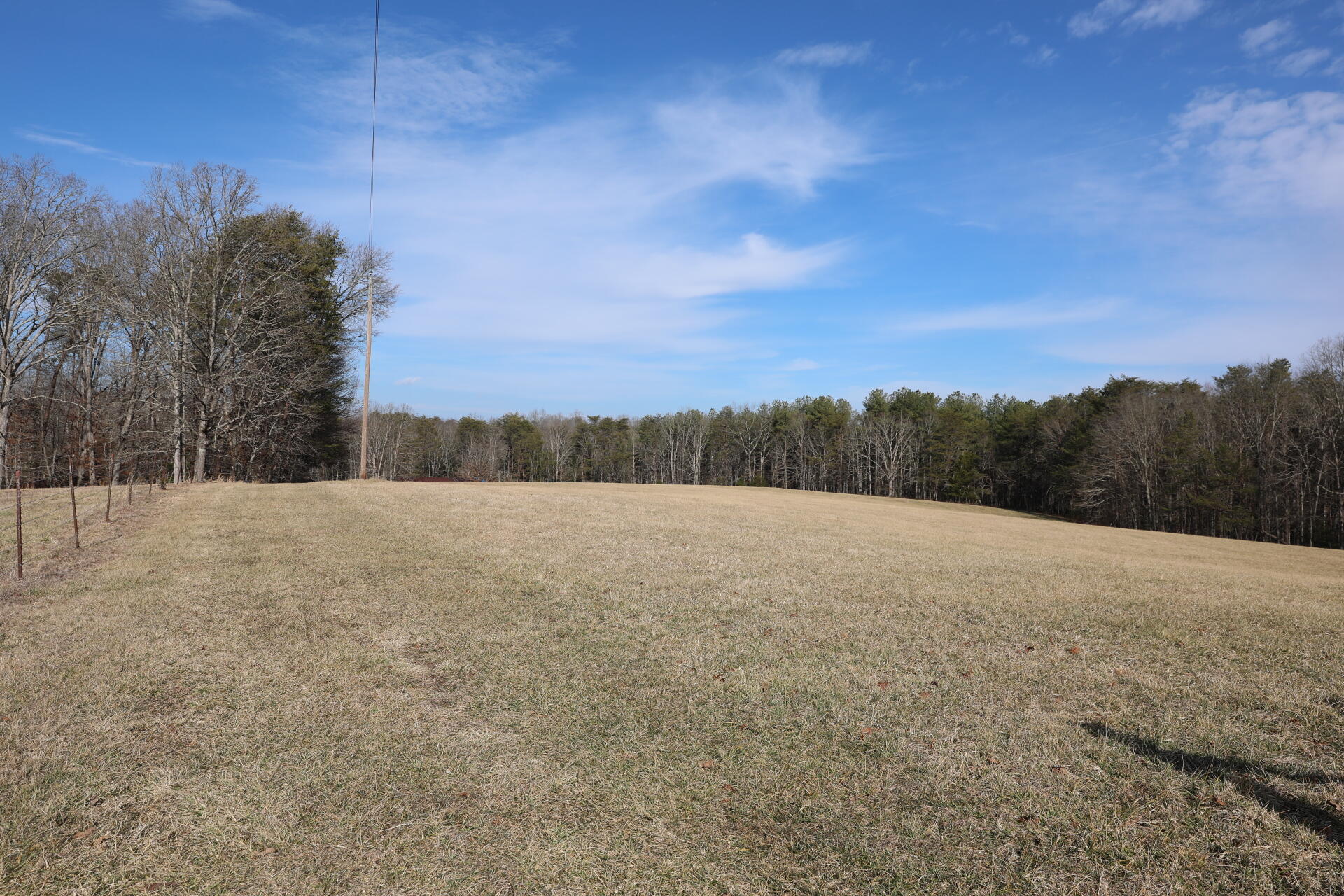 7055 Mooneyham Lonewood Road Spencer, TN 38585 - Photo 14 of 47 1A0A7212