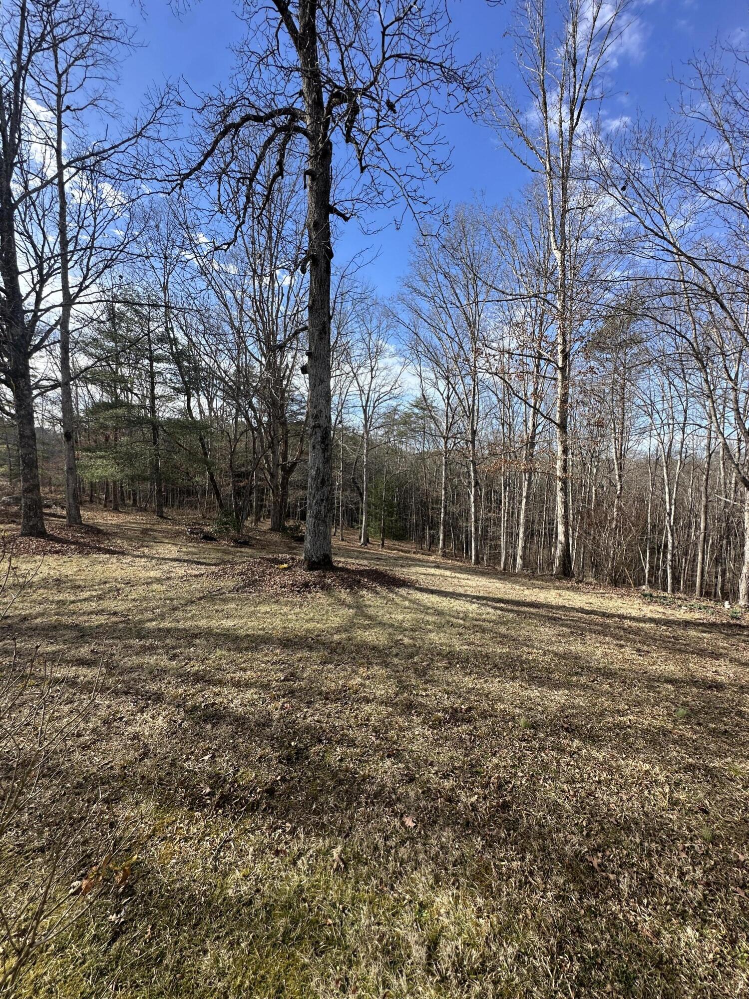 7055 Mooneyham Lonewood Road Spencer, TN 38585 - Photo 39 of 47 IMG_9313