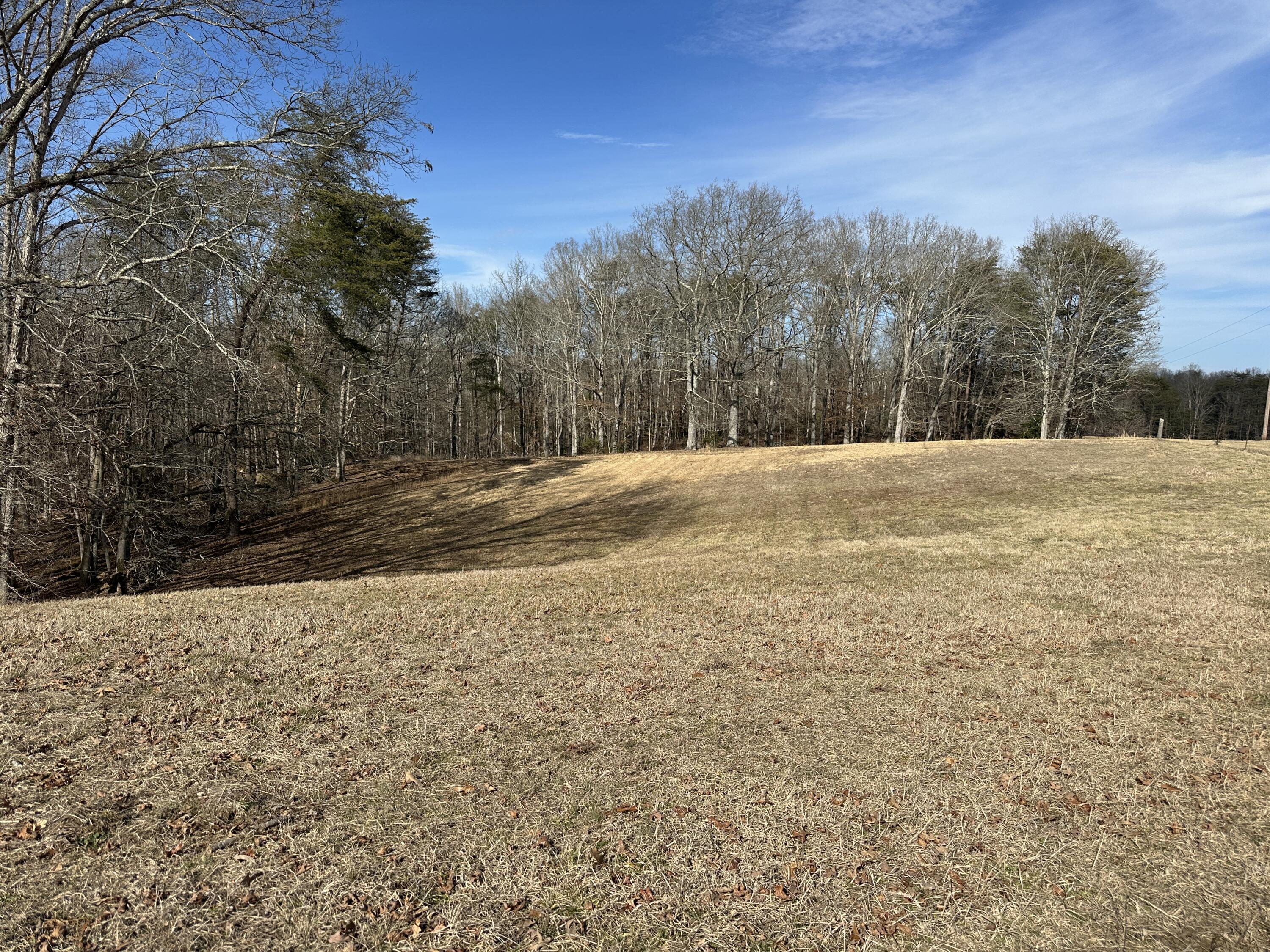 7055 Mooneyham Lonewood Road Spencer, TN 38585 - Photo 41 of 47 IMG_9316