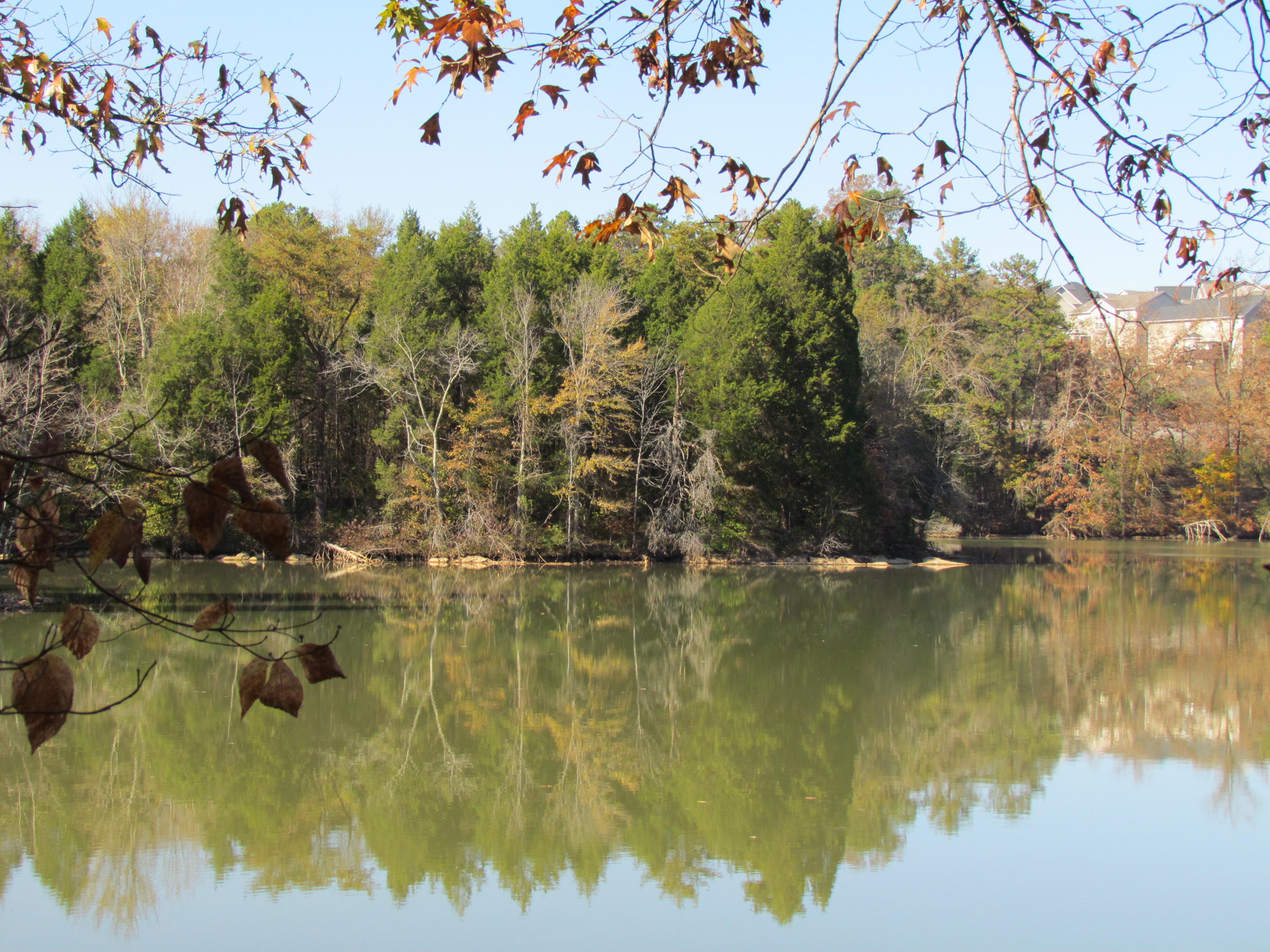 Lot # Emory Church Road Knoxville, TN 37922 - Photo 2 of 5 view looking across the cove