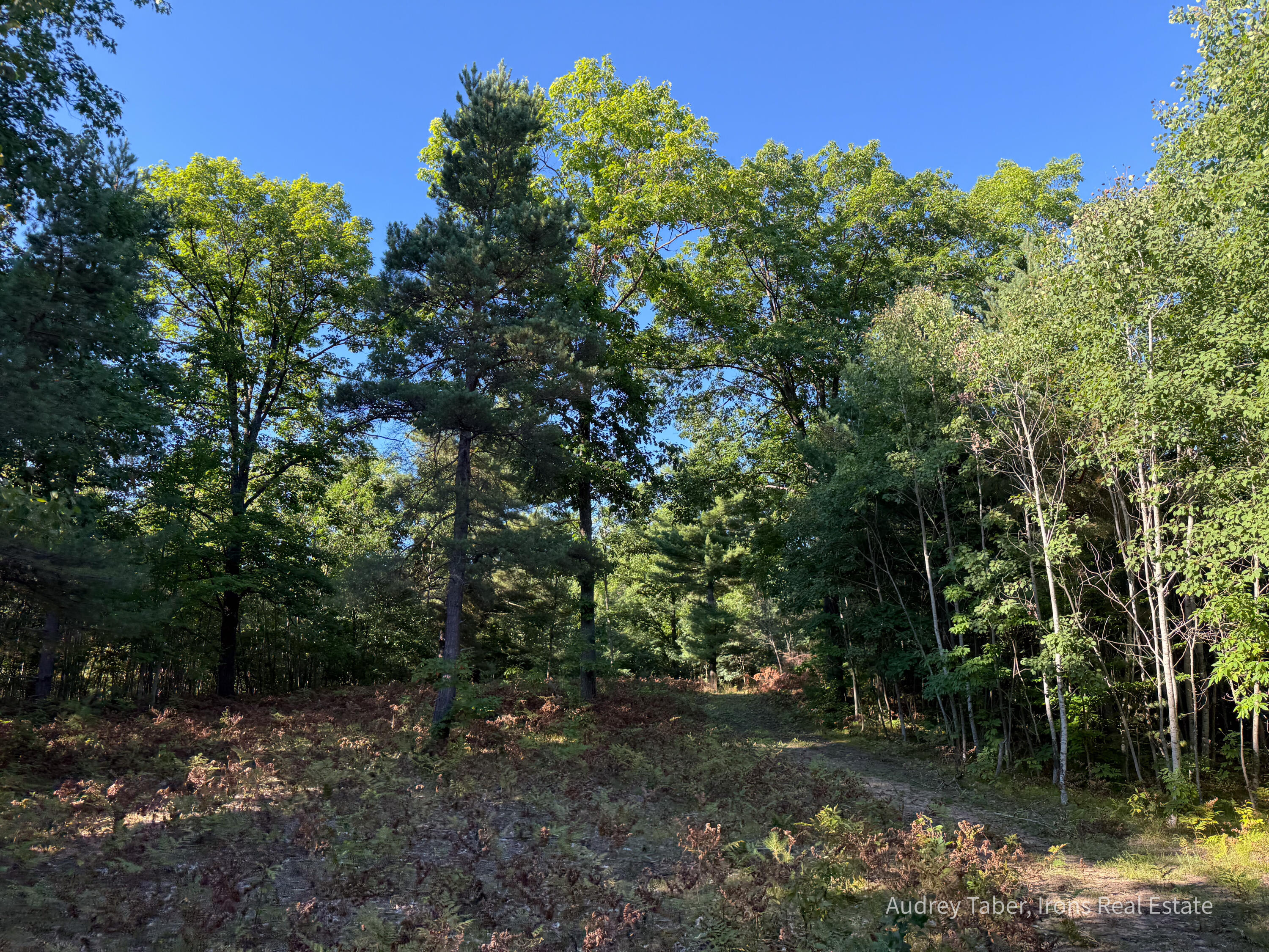 1-5 Clements Road Kaleva, MI 49645 - Photo 40 of 61 ClementsRd-23
