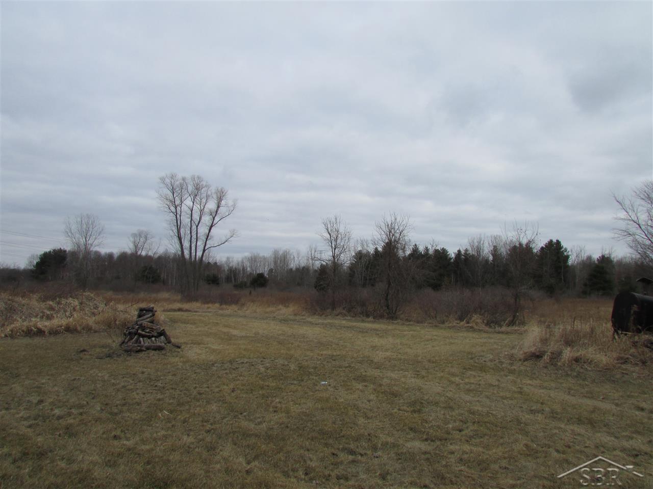 8440 South Raucholz Road St. Charles, MI 48655 - Photo 7 of 11