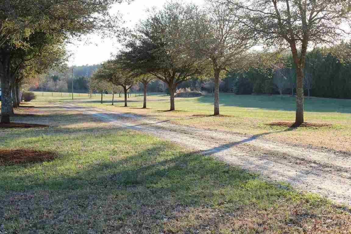 510 Reedy Fork Road Piedmont, SC 29673 - Photo 11 of 24