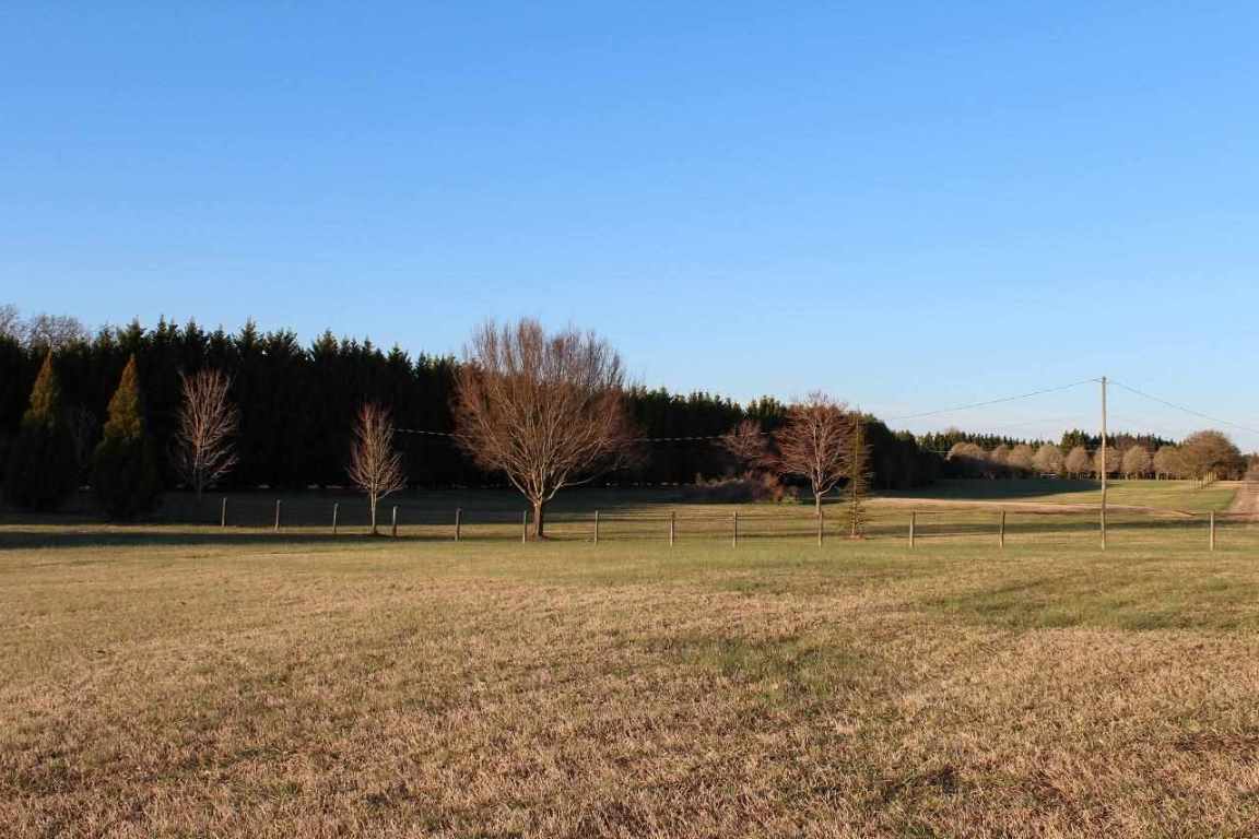 510 Reedy Fork Road Piedmont, SC 29673 - Photo 16 of 24