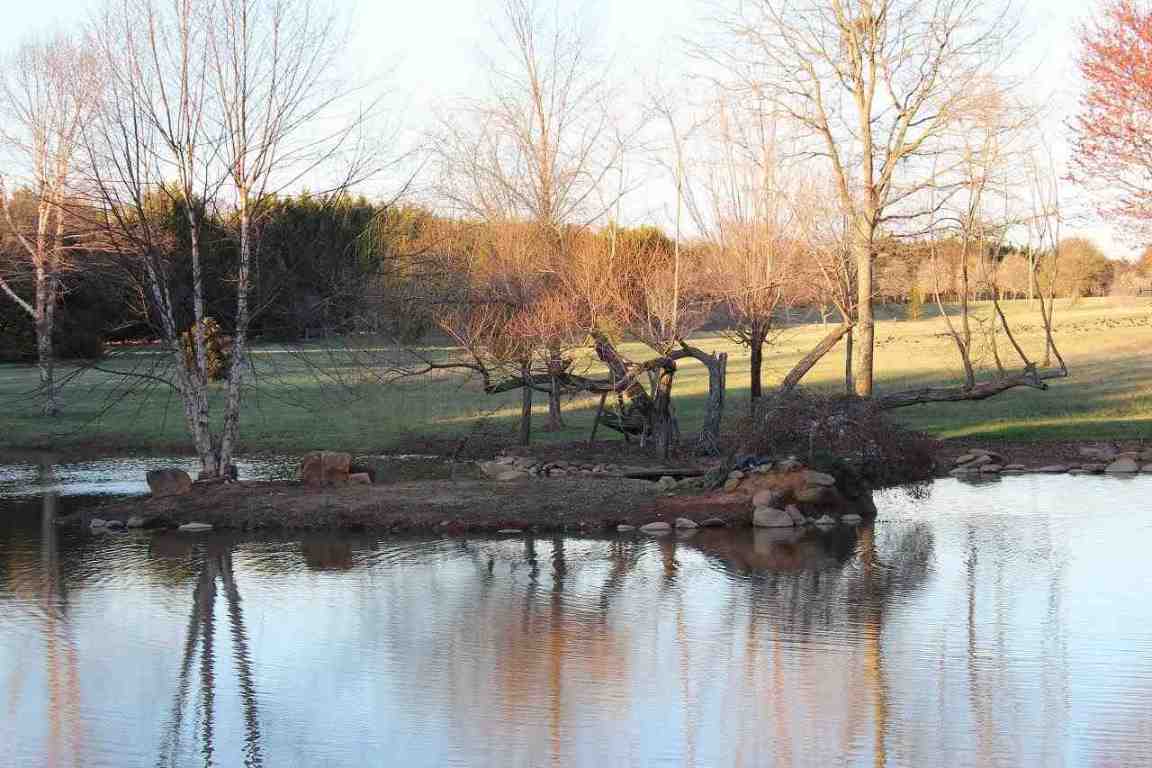 510 Reedy Fork Road Piedmont, SC 29673 - Photo 18 of 24
