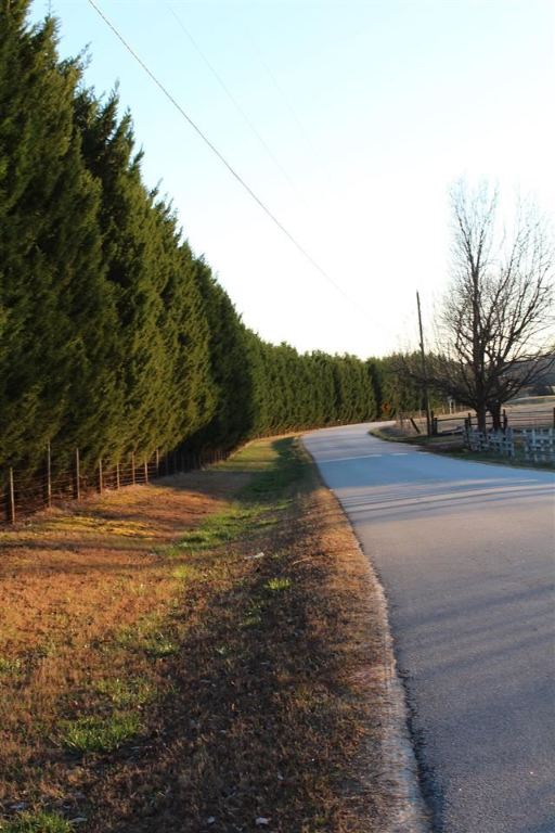 510 Reedy Fork Road Piedmont, SC 29673 - Photo 24 of 24