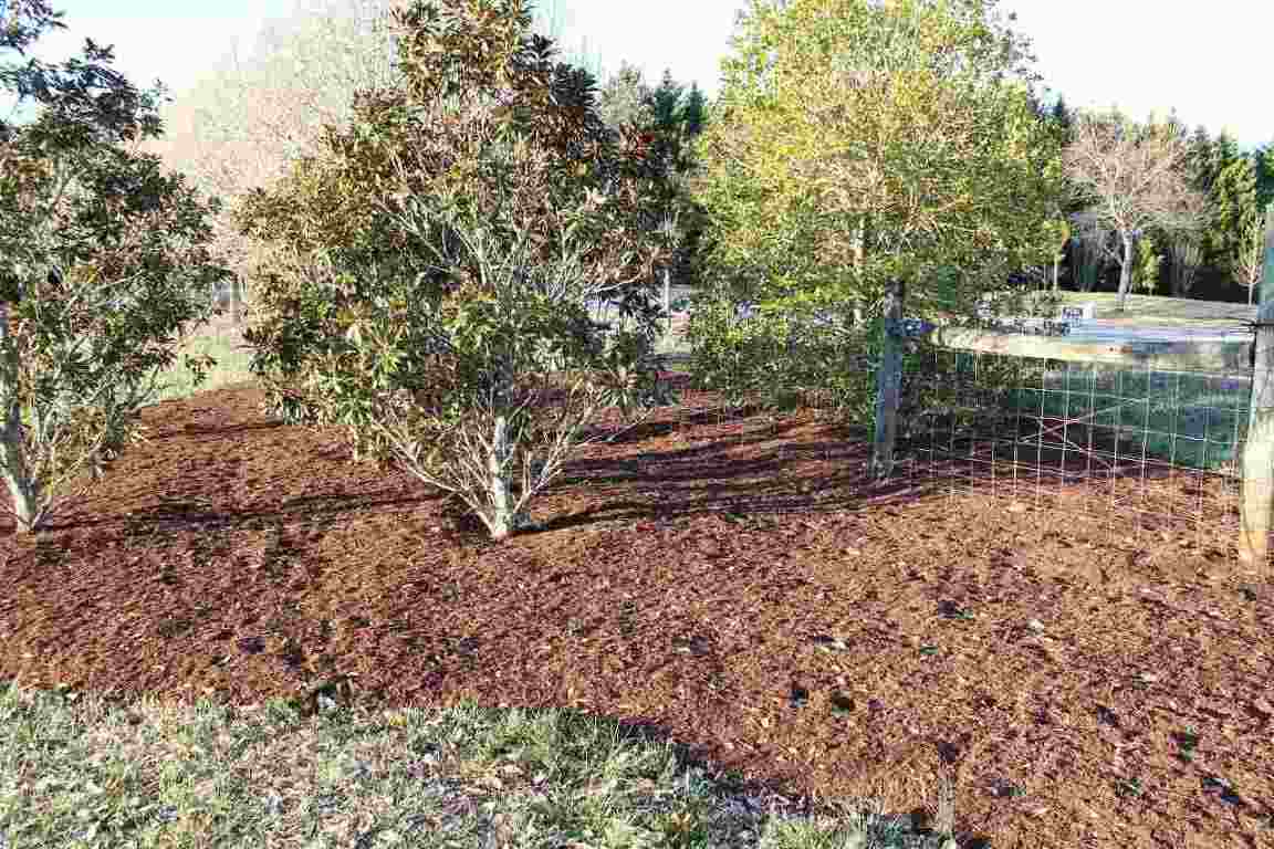 510 Reedy Fork Road Piedmont, SC 29673 - Photo 5 of 24