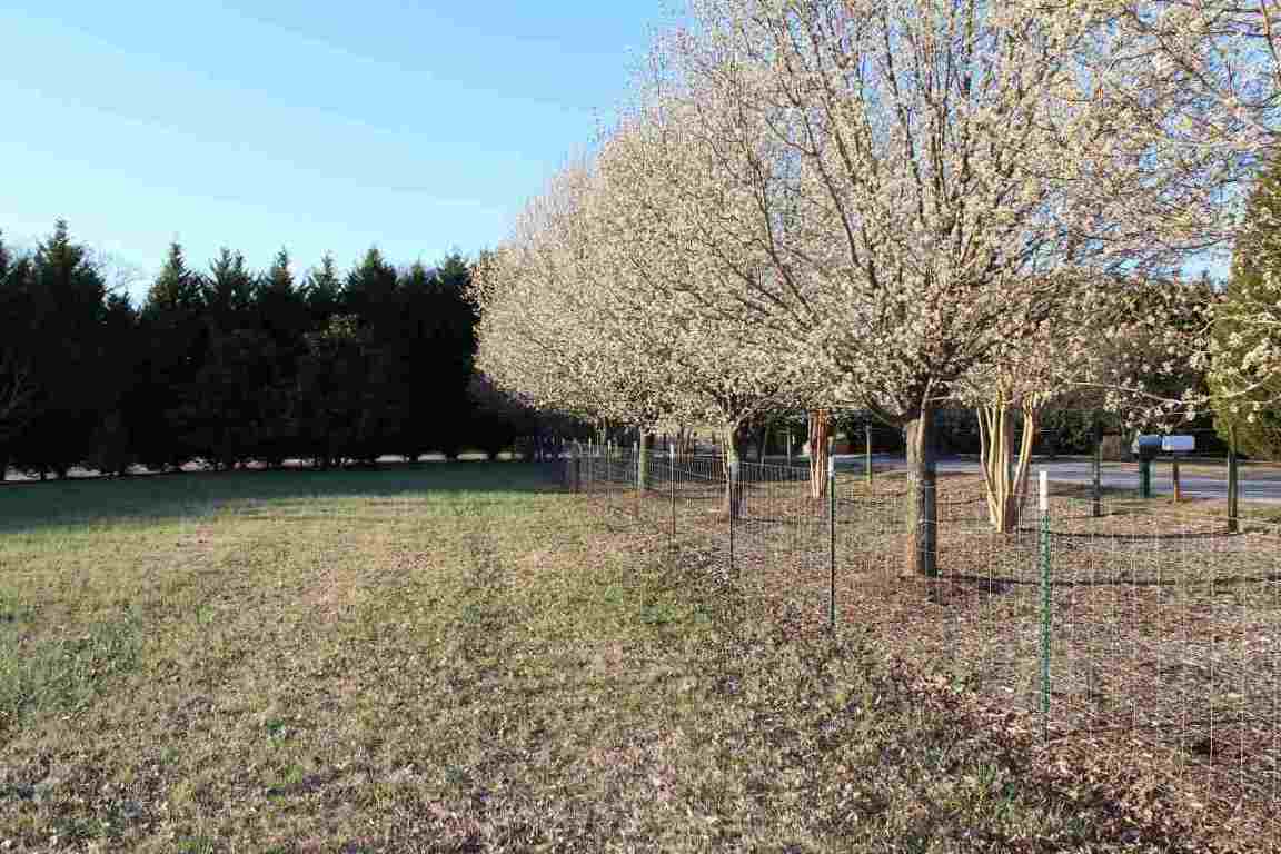 510 Reedy Fork Road Piedmont, SC 29673 - Photo 8 of 24