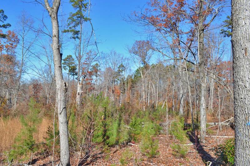3 Fred Lineberry Road Randleman, NC 27317 - Photo 4 of 35 Gallery Image 4