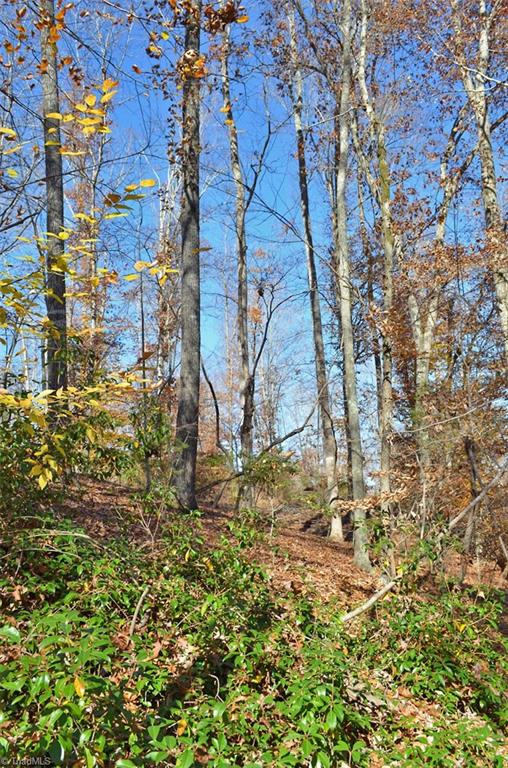 3 Fred Lineberry Road Randleman, NC 27317 - Photo 8 of 35 Gallery Image 8