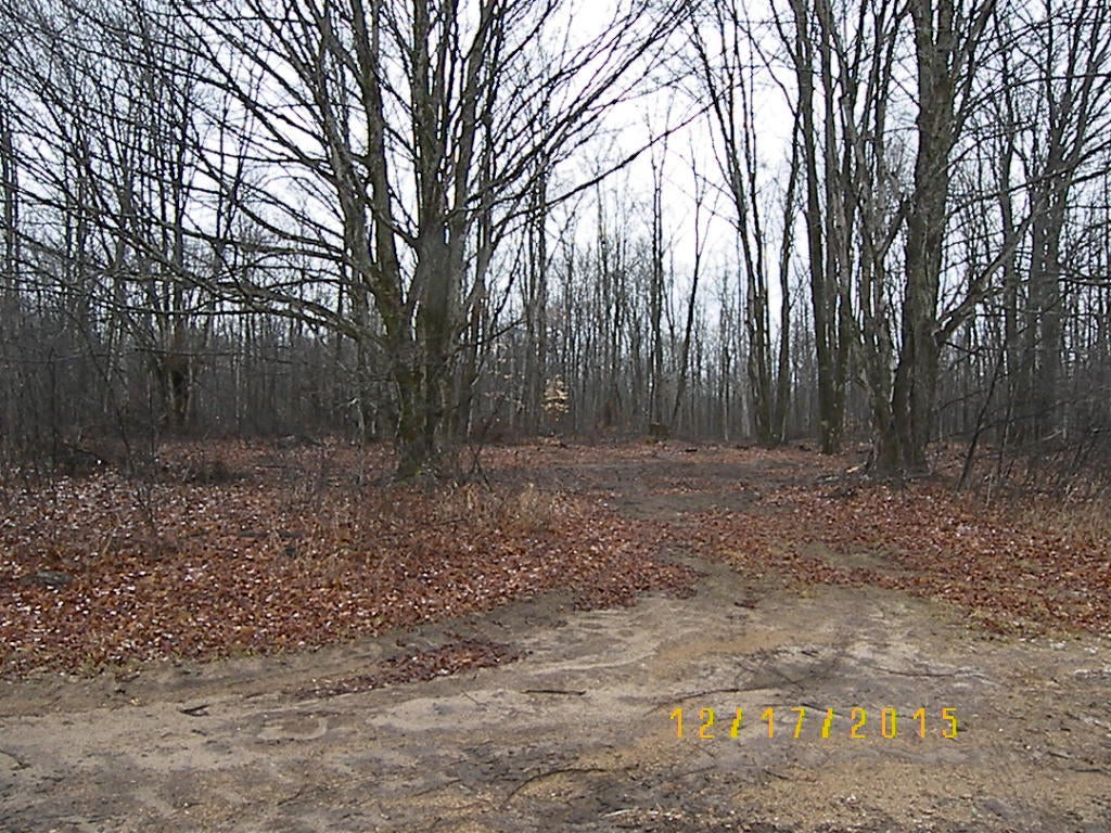 3403 North Webb Road Hessel, MI 49745 - Photo 4 of 7 Gallery Image 4
