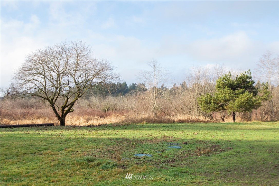 15941 Littlerock Road Southwest Rochester, WA 98579 - Photo 28 of 31 a view of yard with green space