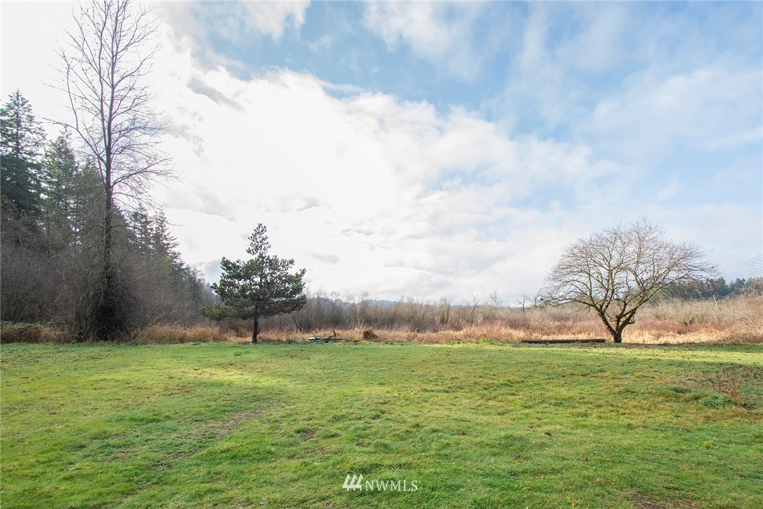 15941 Littlerock Road Southwest Rochester, WA 98579 - Photo 29 of 31 a view of outdoor space with green field and trees