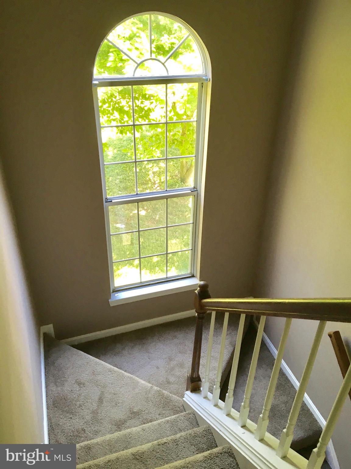 24 Hiddencreek Court Owings Mills, MD 21117 - Photo 26 of 26