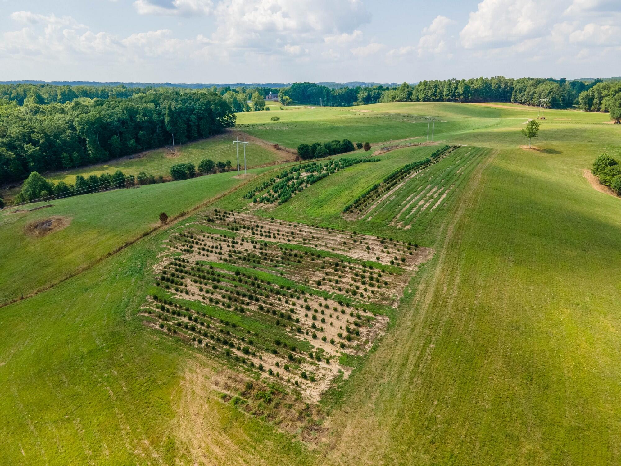 8599 Keavy Road Keavy, KY 40737 - Photo 19 of 29 39 - DJI_0047-HDR