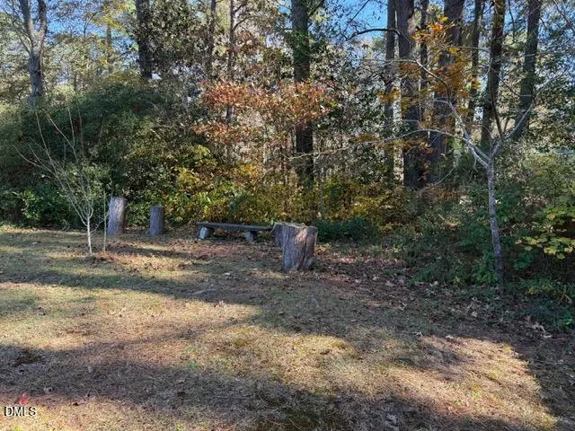a view of swimming pool with garden and trees