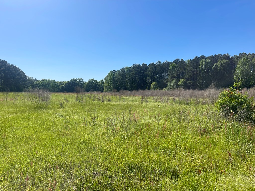 0 C Cora Powell Road Samson, AL 36477 - Photo 2 of 5