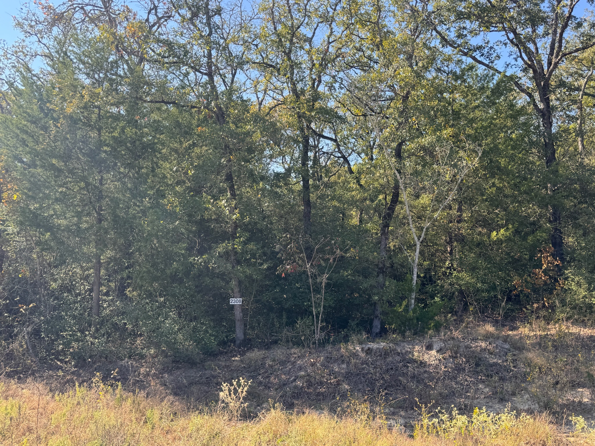 2308 Myrtle Lane Cameron, TX 76520 - Photo 1 of 11 a view of a forest filled with trees