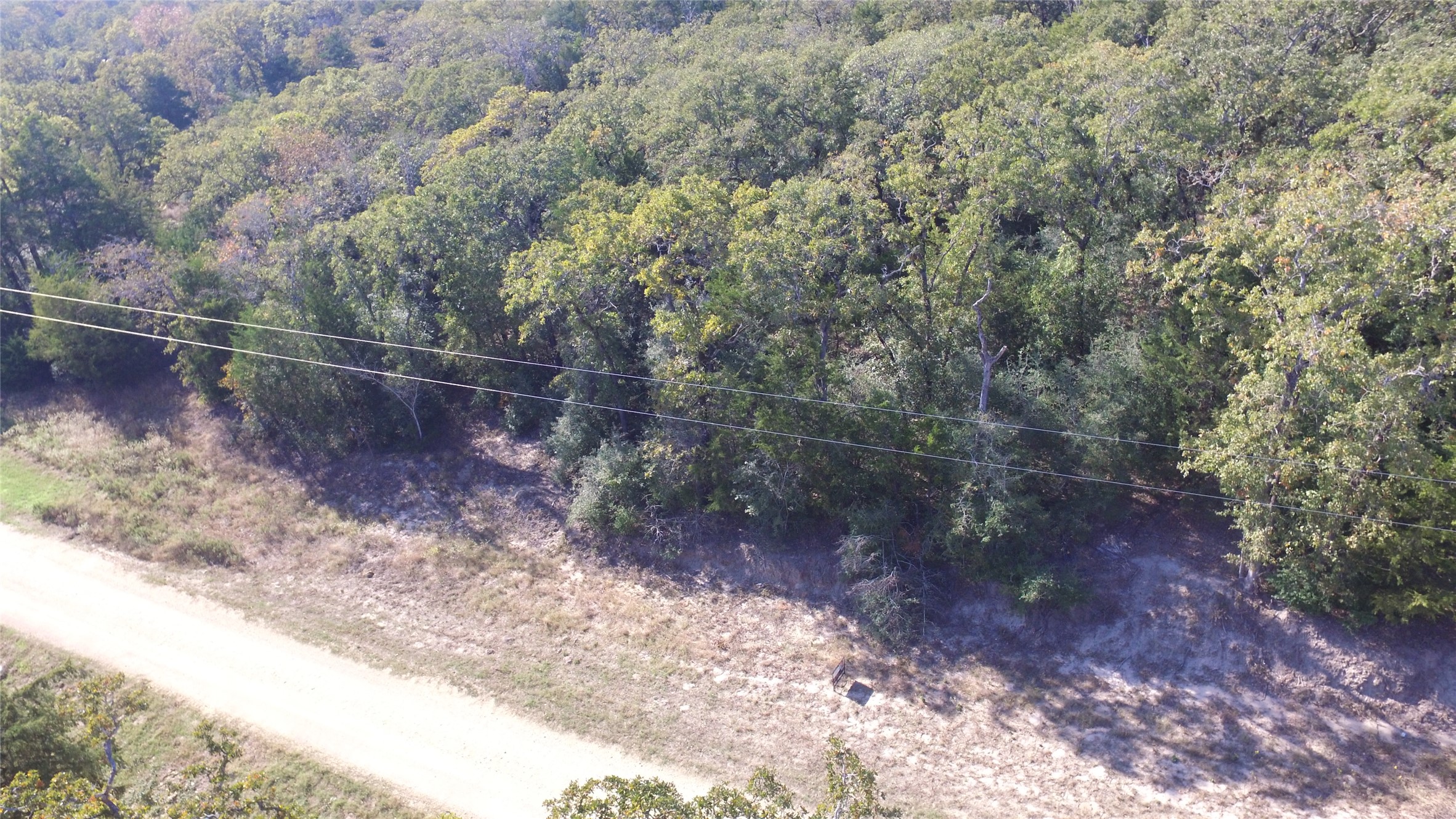 2308 Myrtle Lane Cameron, TX 76520 - Photo 3 of 11 a view of a forest with trees in the background