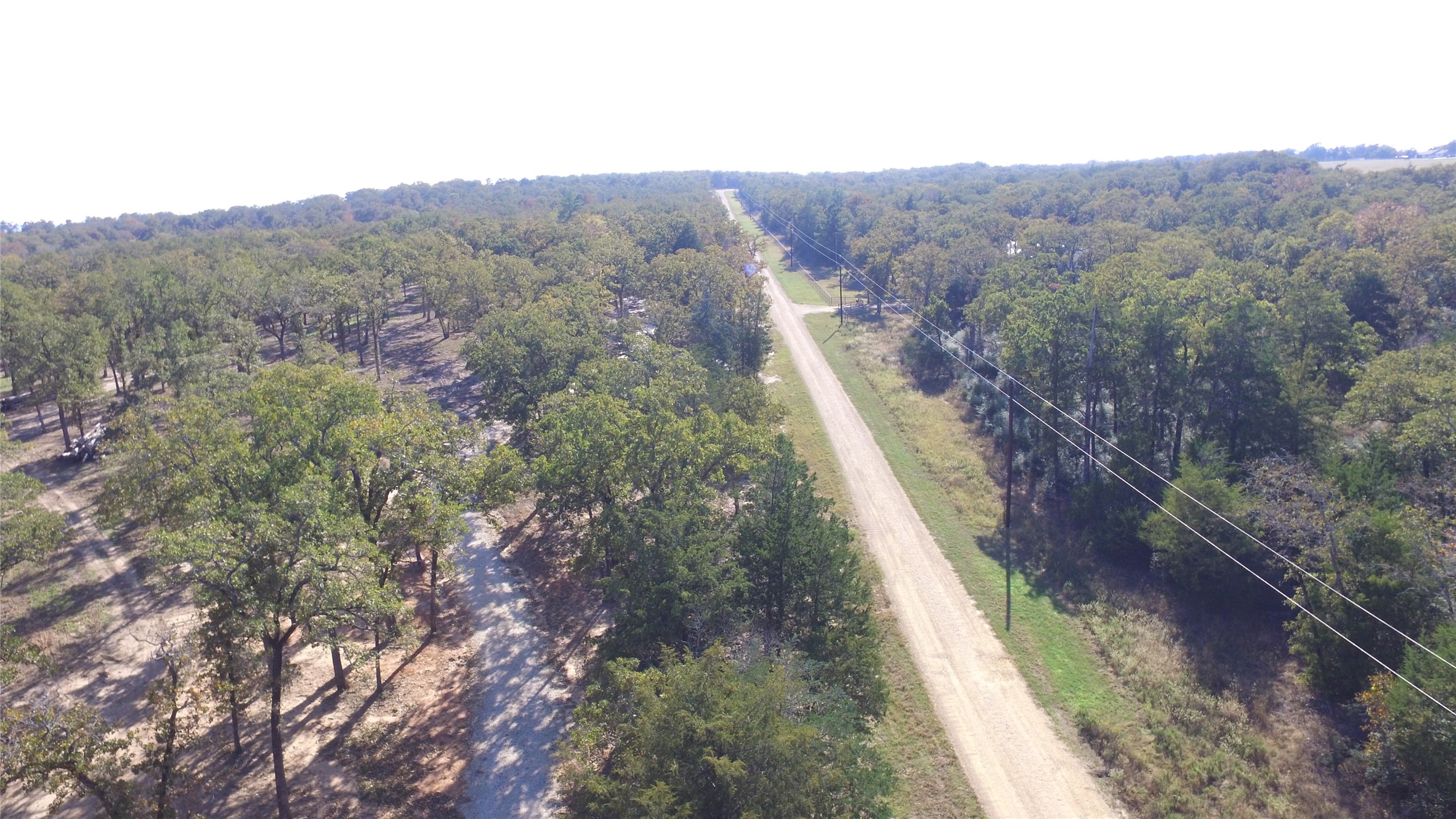 2308 Myrtle Lane Cameron, TX 76520 - Photo 4 of 11 a view of a forest with mountain