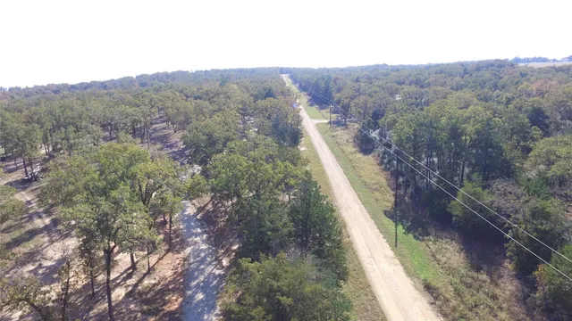 a view of a forest with mountain