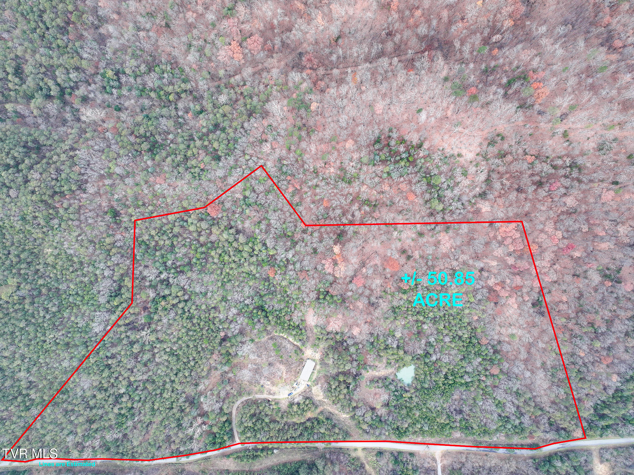 750 Tom White Hollow Road Mohawk, TN 37810 - Photo 3 of 48 DJI_20251118190341_0043_D-Edit