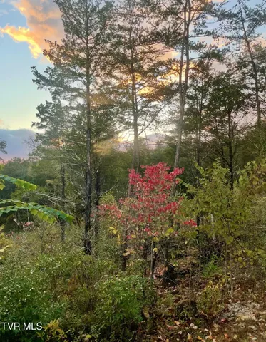 $485,000 | 750 Tom White Hollow Road, Mohawk, TN 37810