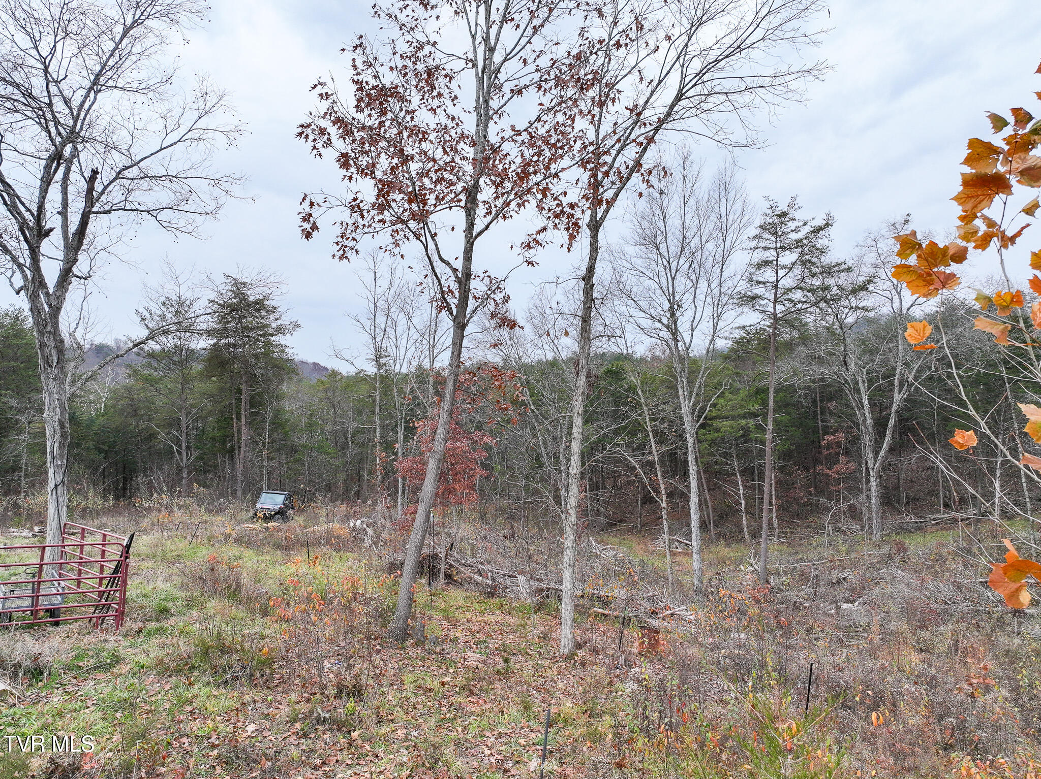 750 Tom White Hollow Road Mohawk, TN 37810 - Photo 5 of 48 DJI_20251118190813_0052_D-Edit