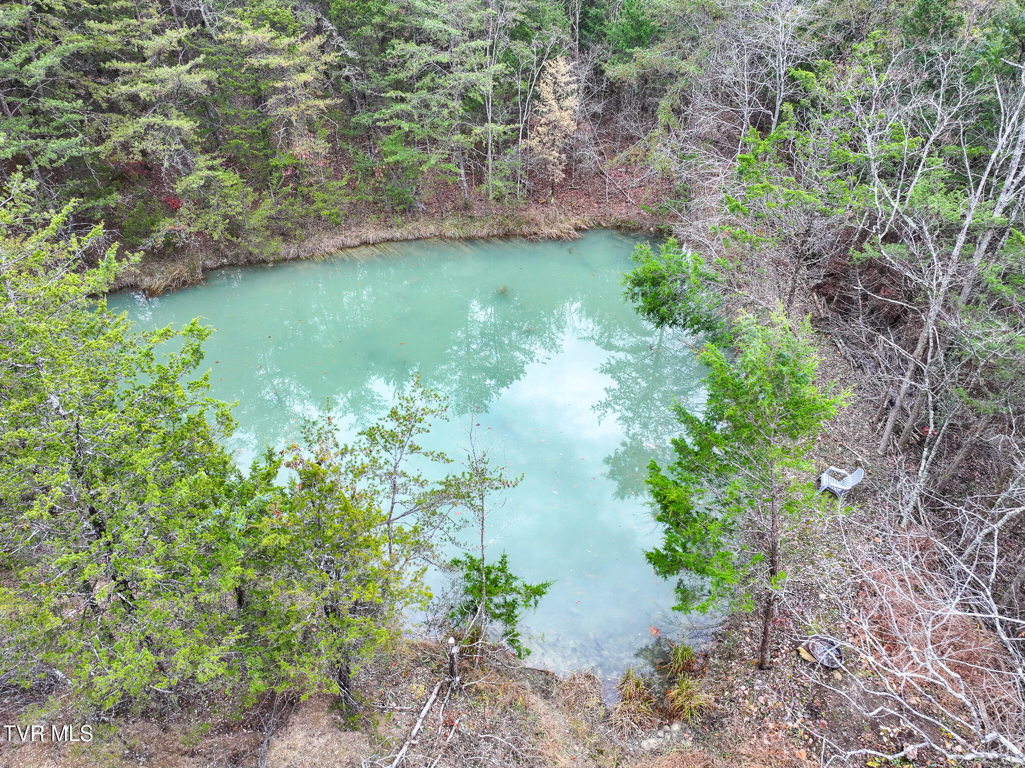 750 Tom White Hollow Road Mohawk, TN 37810 - Photo 7 of 48 DJI_20251118191354_0072_D