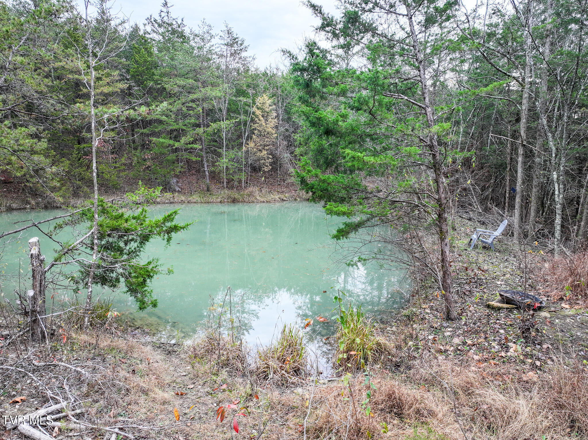 750 Tom White Hollow Road Mohawk, TN 37810 - Photo 8 of 48 DJI_20251118191417_0074_D