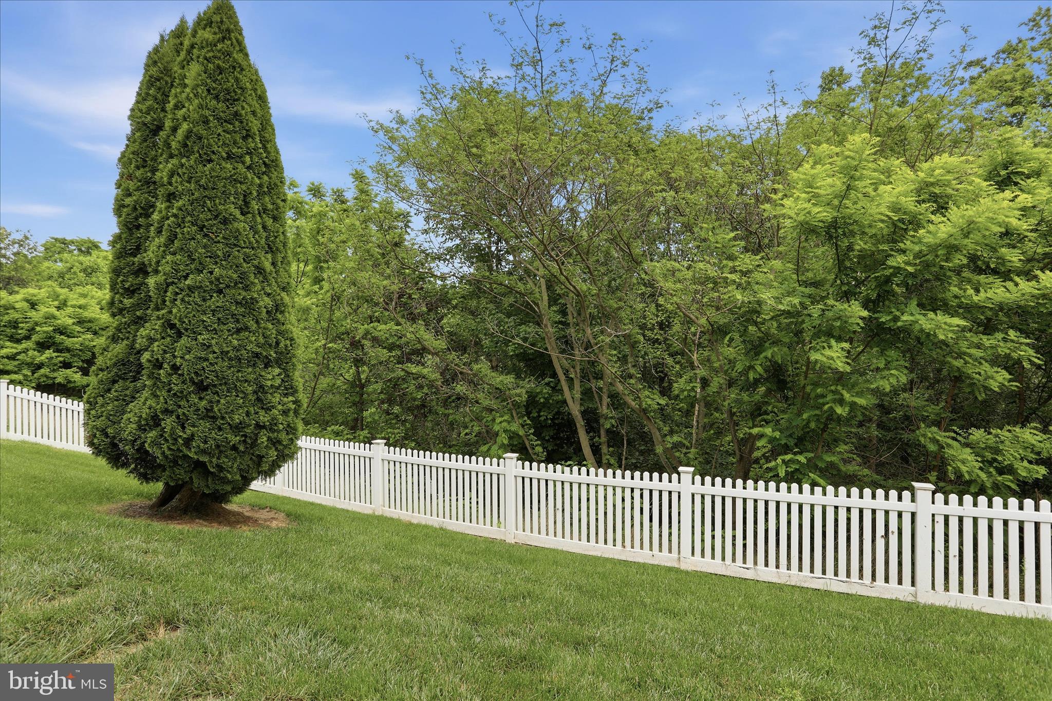 1304 Moore Spring Court Brunswick, MD 21716 - Photo 49 of 63