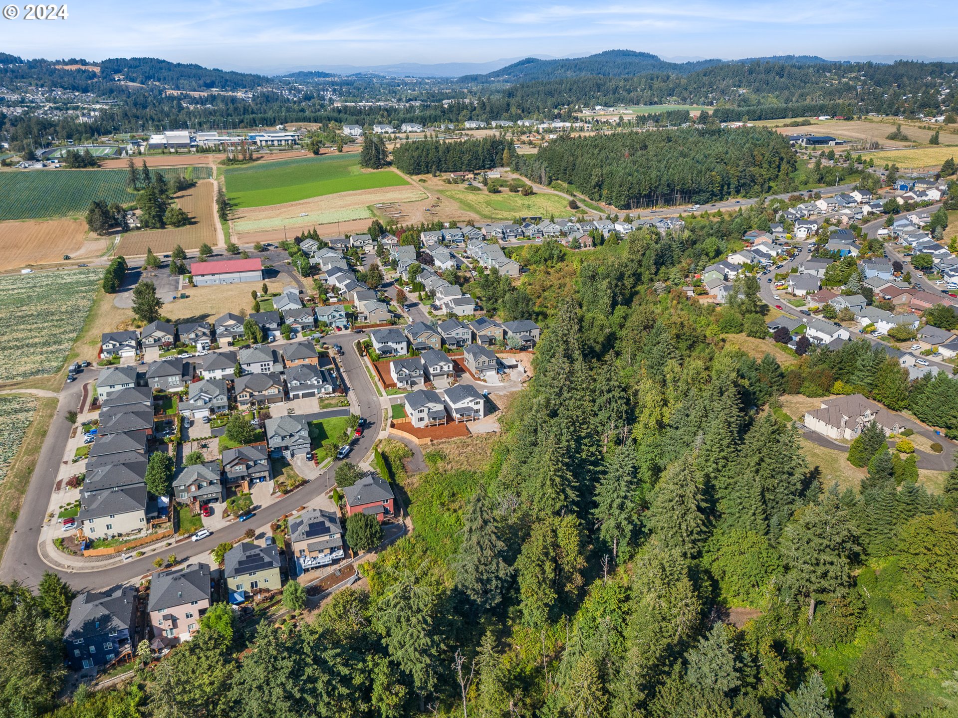 16911 Southeast Siri Loop Damascus, OR 97089 - Photo 21 of 21 an aerial view of residential houses with outdoor space and lake view