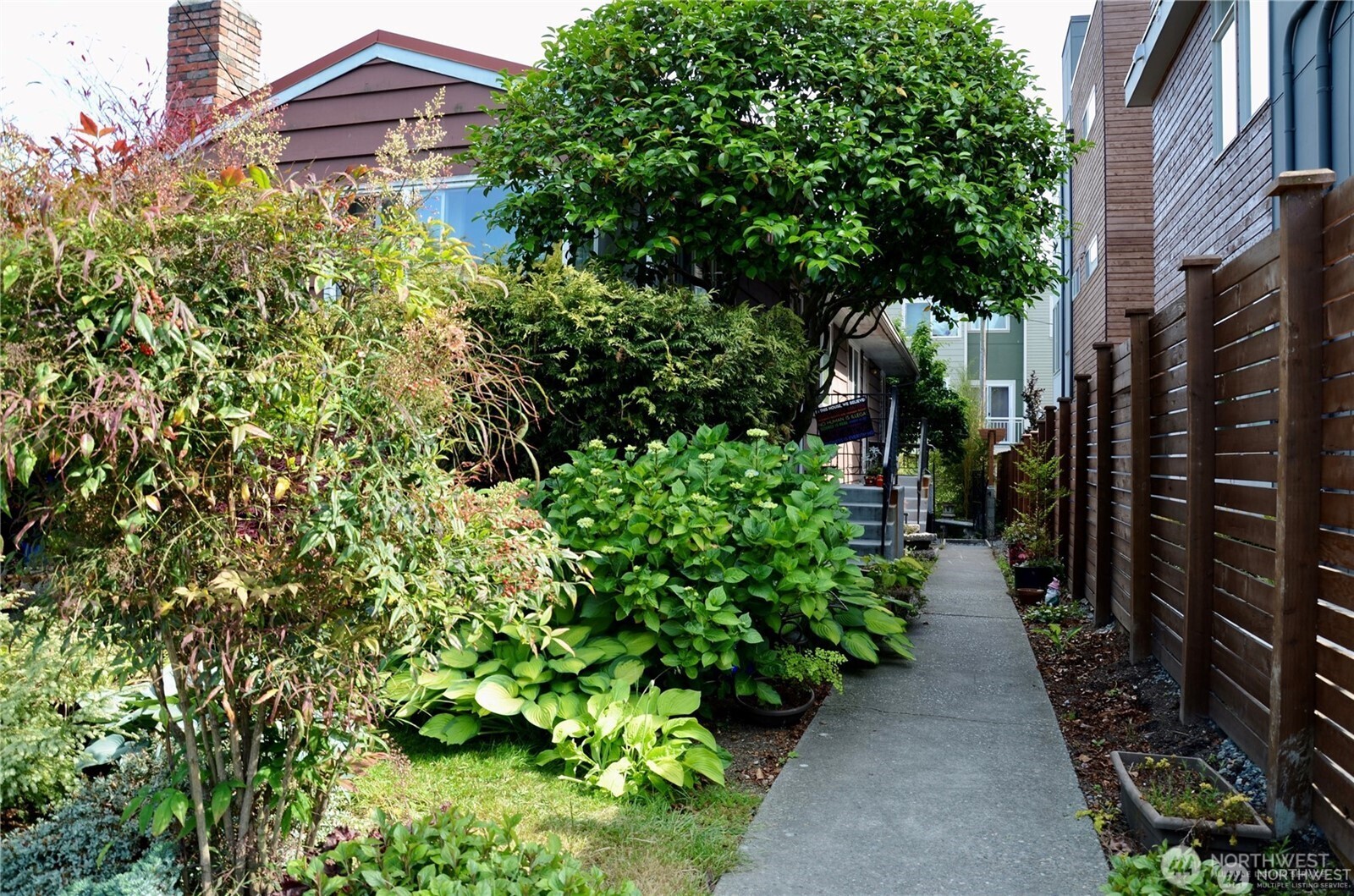 a view of a garden with pathway