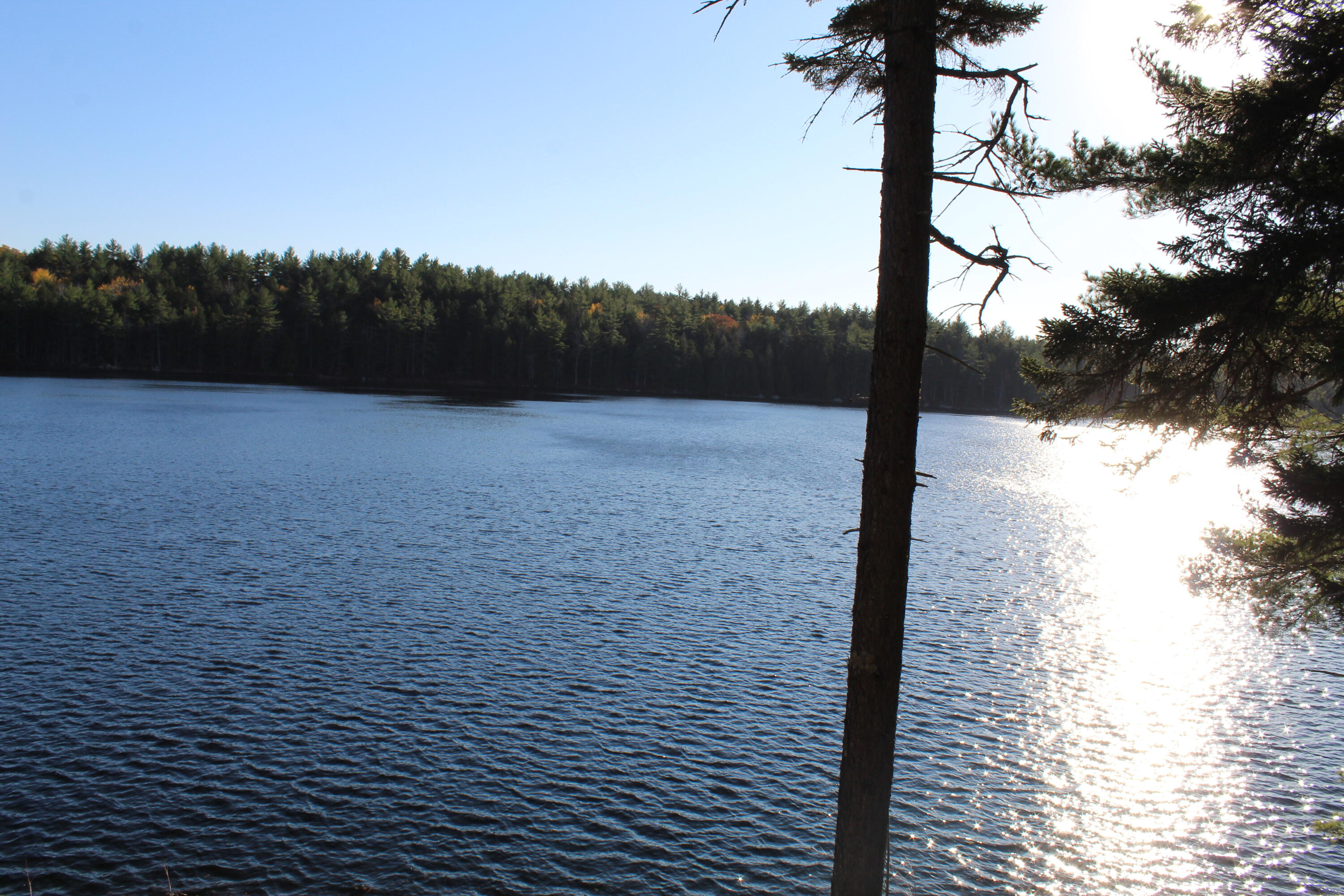 T10 Sd Me 04622 Road Cherryfield, ME 04622 - Photo 45 of 45 Only camp on Long Pond