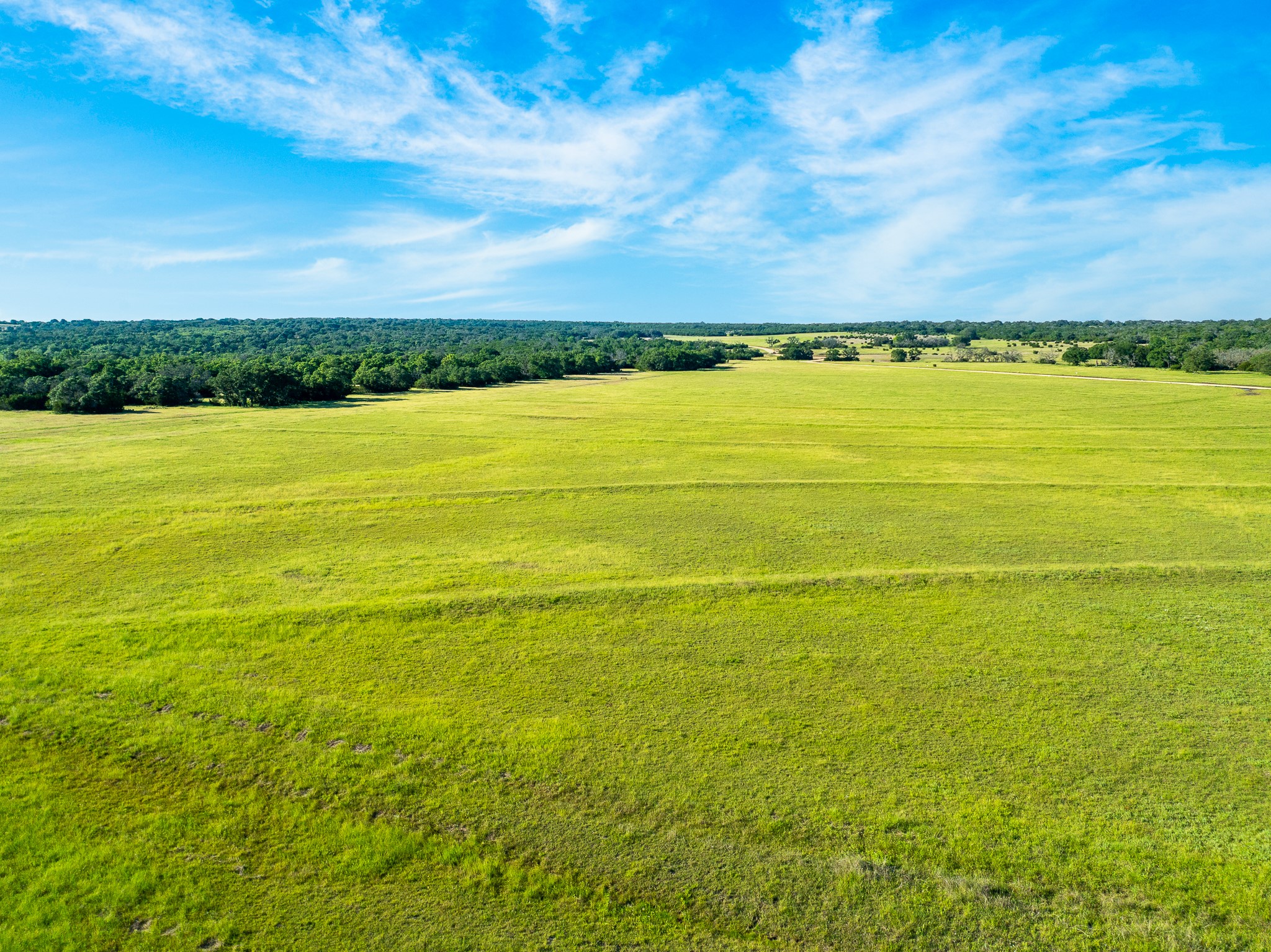 32 Feild Ranch Road Burnet, TX 78611 - Photo 14 of 40 Vast green fields stretch toward a distant tree line under a bright, open sky.
