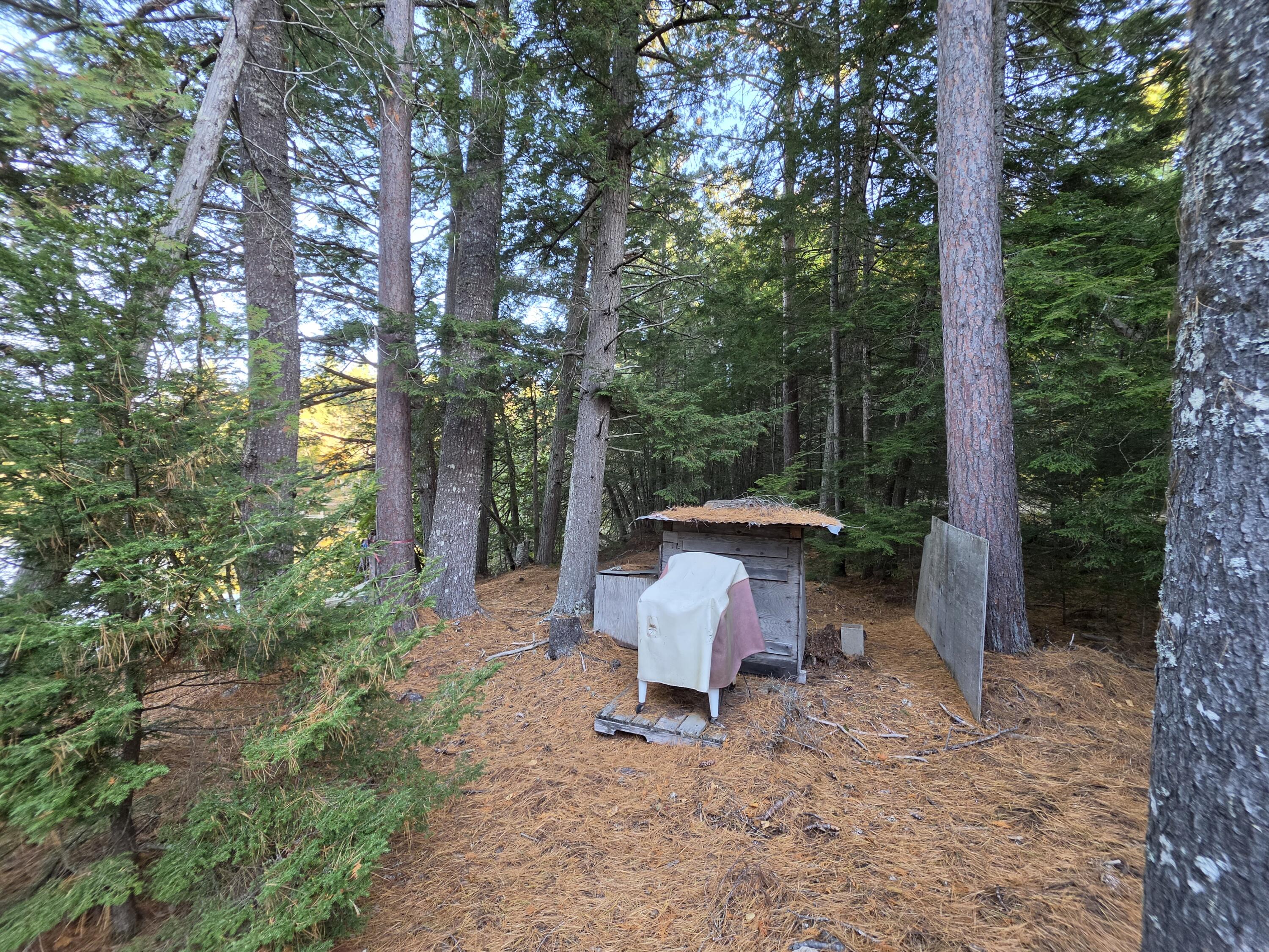 Lot 3 East Shore Road Lakeville, ME 04487 - Photo 38 of 59 20261007_074345