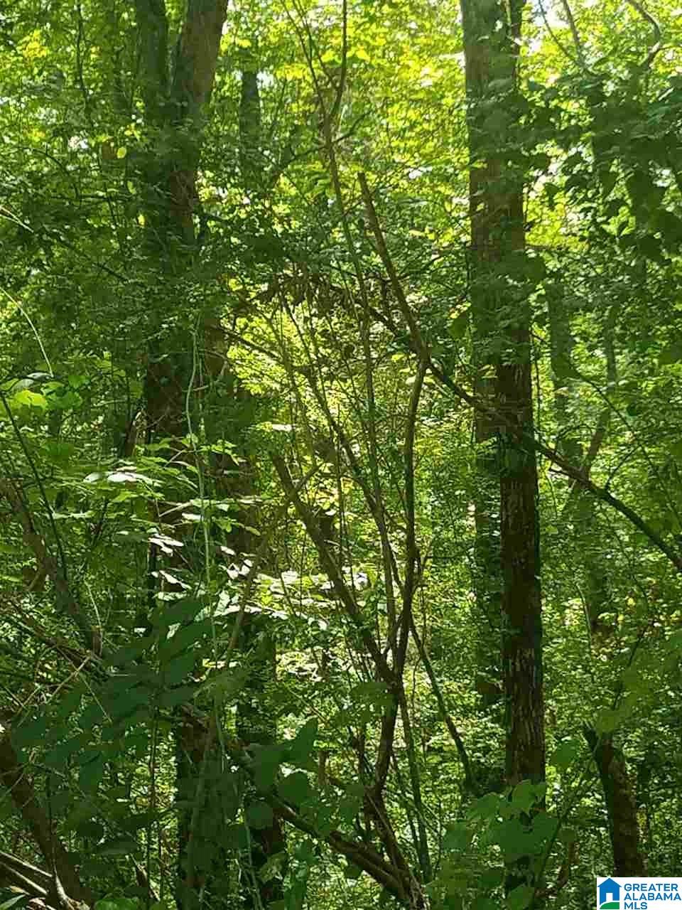 Pine Mountain Road, Unit 2 7 Oneonta, AL 35121 - Photo 1 of 3