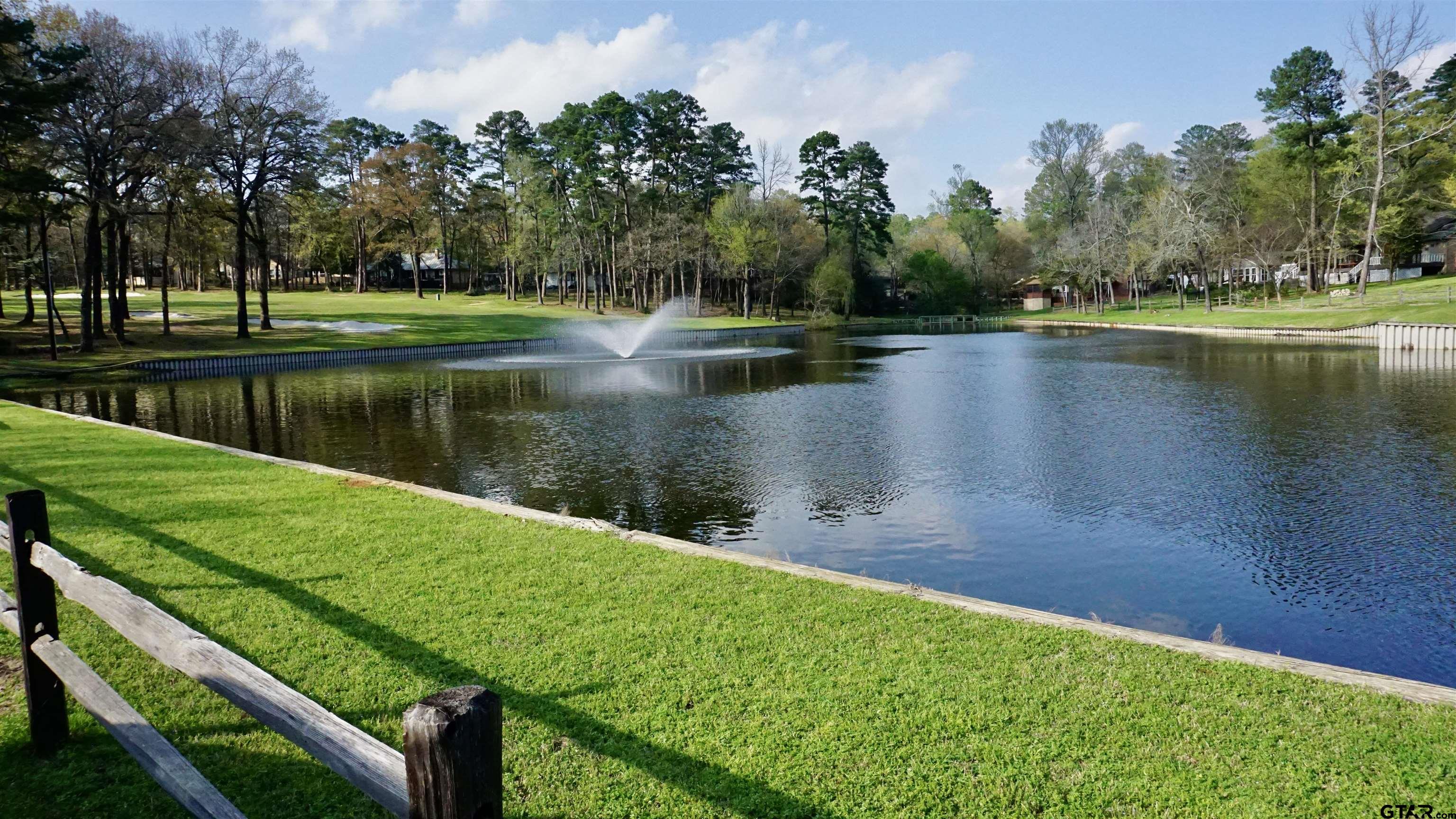 Tbd Tbd Holly Lake Ranch, TX 75765 - Photo 14 of 19 Gallery Image 14