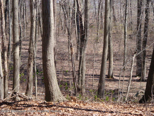 105 Nolan Road Morganville, NJ 07751 - Photo 8 of 18 012