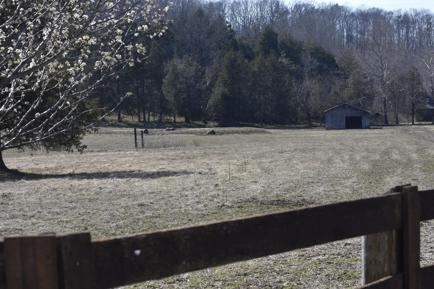 15 Quail Run Road Irvine, KY 40336 - Photo 6 of 7 Imagine a beautiful farmhouse on this lo