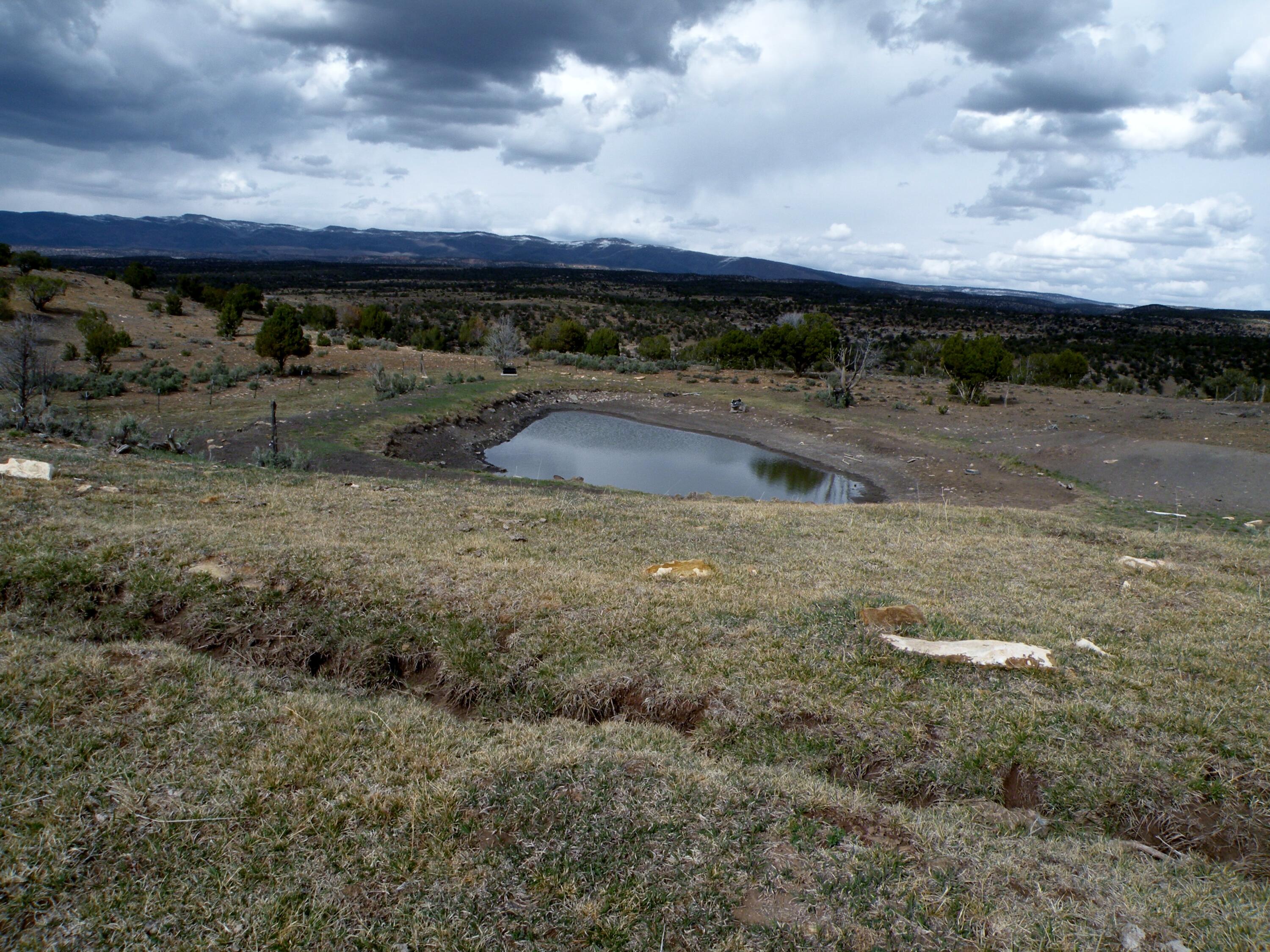 26260 Z26 Road Nucla, CO 81424 - Photo 8 of 16 DSCN2290