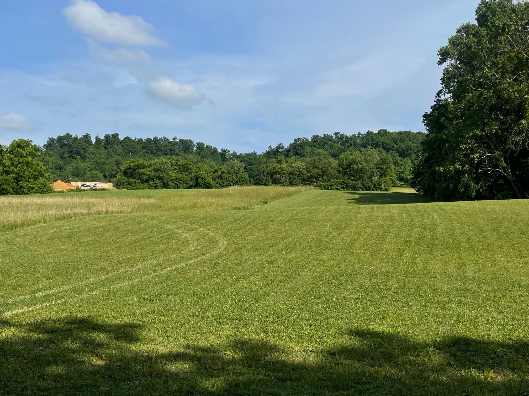 11 Old Snapps Ferry Road, Unit 1011 Limestone, TN 37681 - Photo 7 of 8 IMG_1225